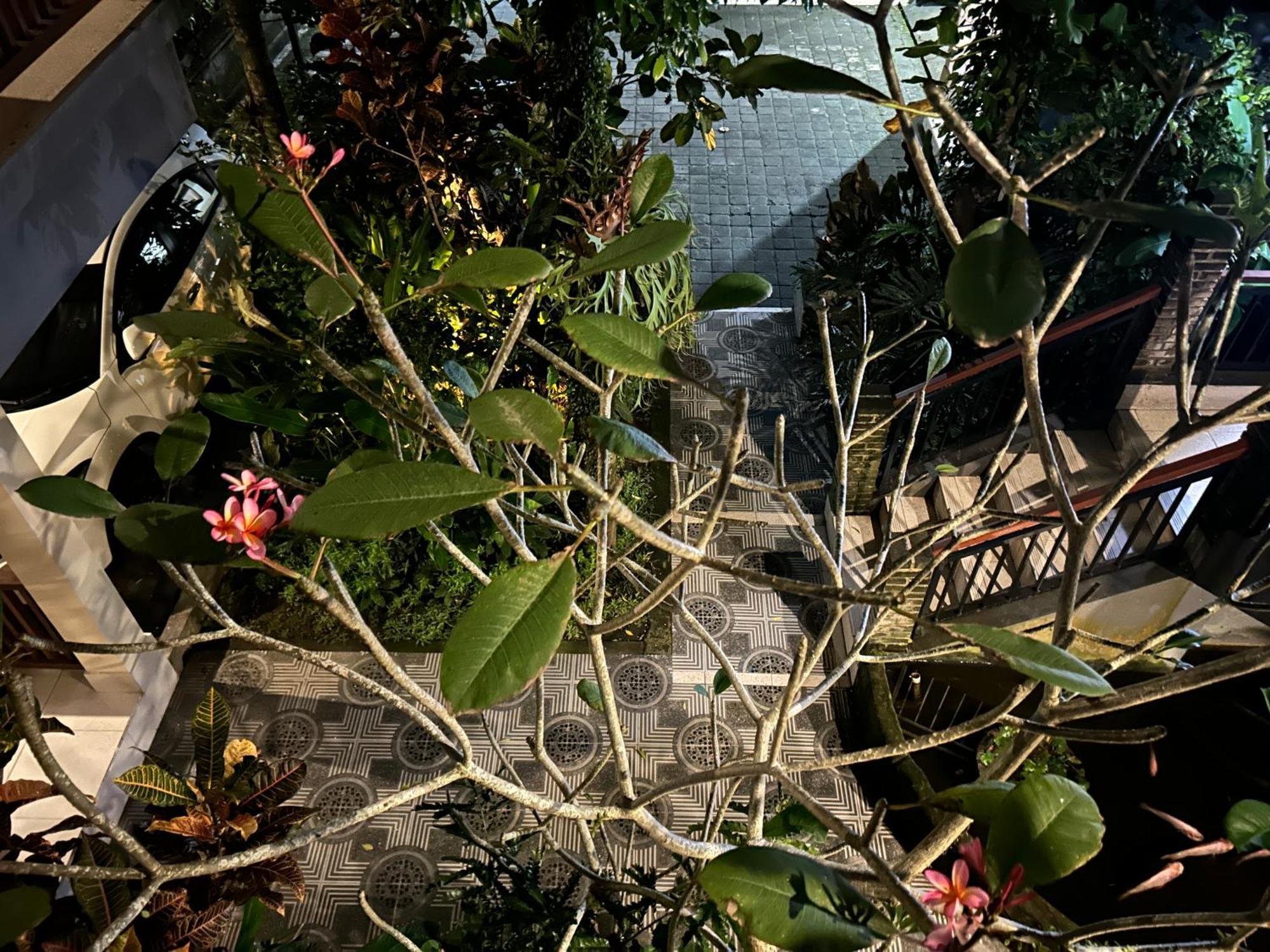 Balimas Guest House Ubud Kültér fotó