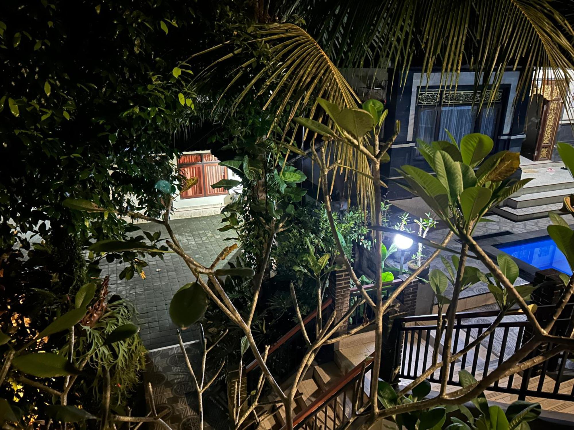 Balimas Guest House Ubud Kültér fotó