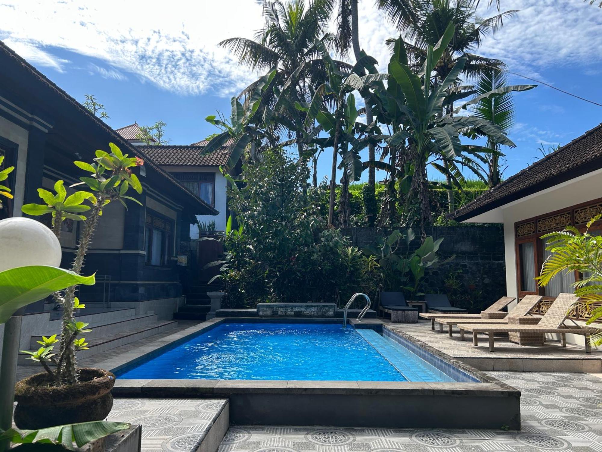 Balimas Guest House Ubud Kültér fotó